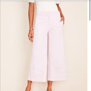 COPY - NWT Ann Taylor, The Marina Pant, High Rise, Color Lilac, sz 14